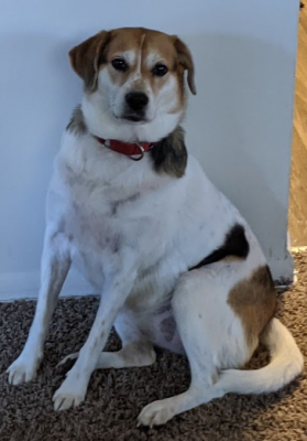 Screenshot 2021-01-29 085609.png (384.93KiB)Viewed 21000 times Screenshot 2021-01-29 085609.png